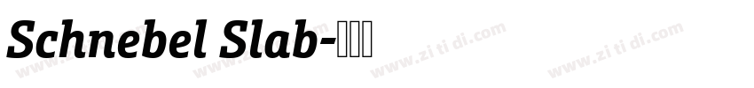 Schnebel Slab字体转换 Schnebel Slab字体转换